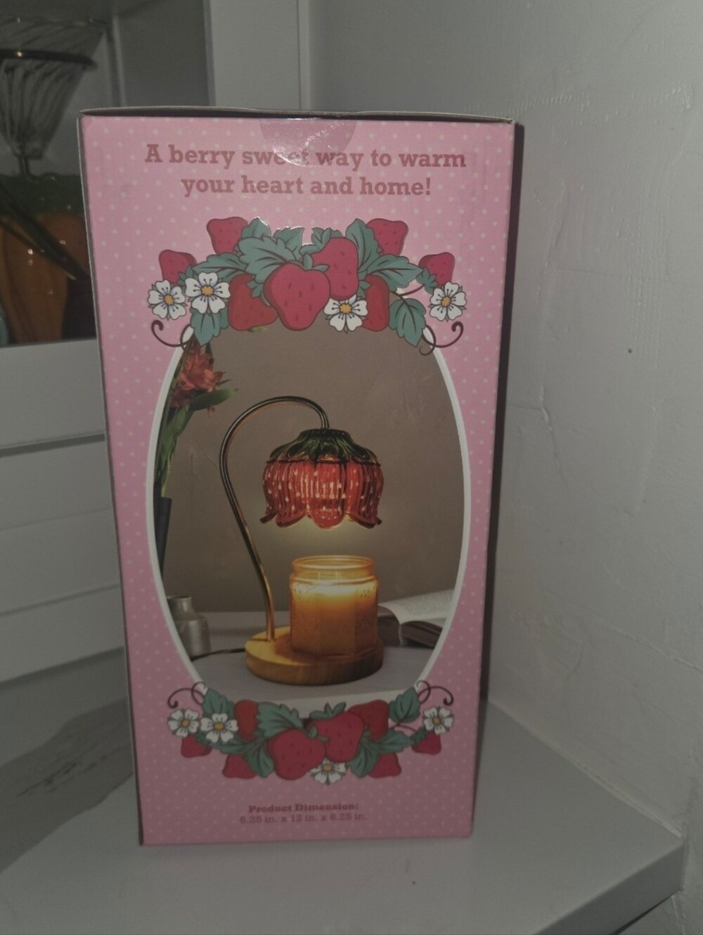New Strawberry Shortcake Glass Shade Candle Warmer Lamp In Original Box